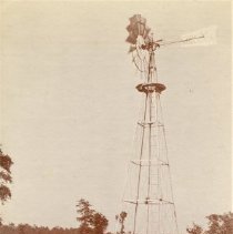 Omc1985.008.199 Image 600dpi